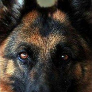 Meet your Posher, Mindy